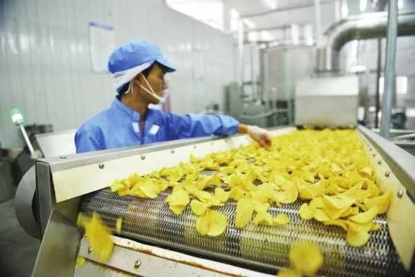 Delicious Snack Crisps Full-Line Production Machinery