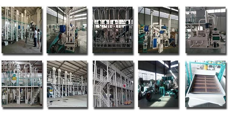 10 Ton Per Day Maize Corn Flour Milling Machine Processing Line for Kenya, Tanzania, Uganda, Zambia