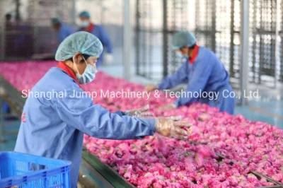 Rose Processing Line Rose Jam Rose Tea Rose Oil Making Machines