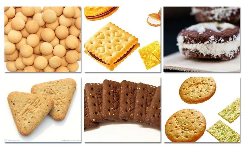 Automatic Biscuit Machine Biscuit Making Machine Soft and Hard Biscuit Production Equipment with High Quality