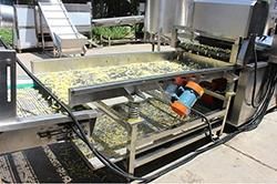 Full Automatic Potato Chips French Fries Machine Price