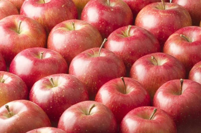 Brush Fruits Washing Cleaning Machinery Automatic Apple Washer Machine