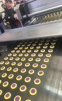 Small Bakery Store Chosen Cookie Machine with PLC Control System
