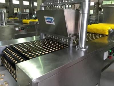 Industrial Bear Shape Biscuit Making Machine Hello Panda Equipment