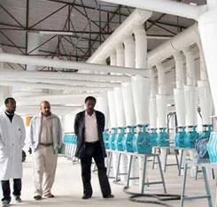 The Price of 200t Designed Wheat Flour Milling Machines Easy Operation with Advanced Technology for Africa