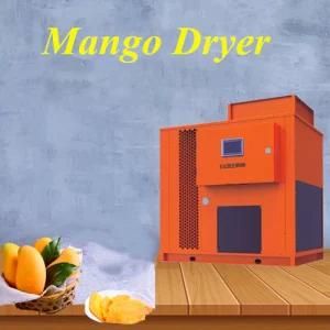 Commercial Automatic Fruit Drying Machine Energy-Saving Mango Dryer