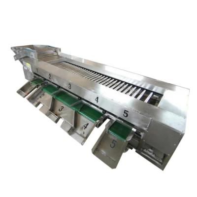 Customized Food/Fruit Processing and Sorting Machine