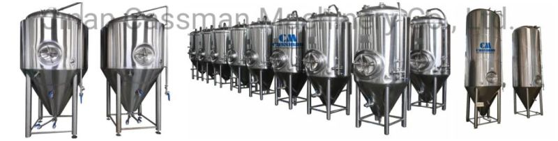 Cassman 1000L Beer Equipment Micro Beer Brewing System for Pub Hotel Bar Brewery