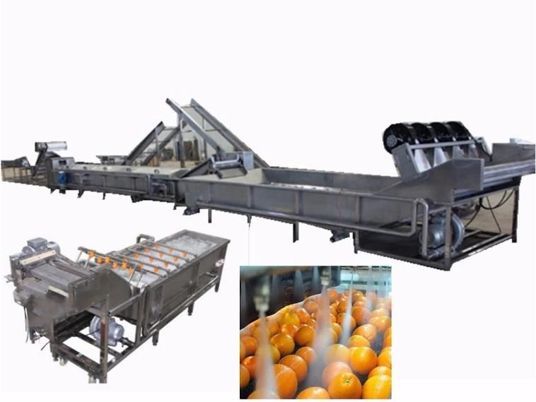Stainless Steel Air Bubble Vegetable and Fruit Washing Plant for Sales