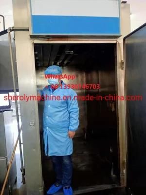 Meat Smoking Machine/Meat Smoker Chamber/Meat Smoke House Machine