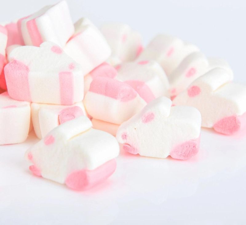 Exm5600 New Type Marshmallow Extruding Production Line with High Quality