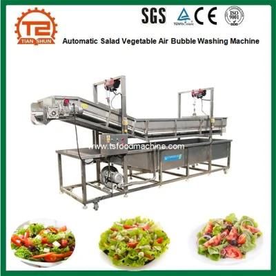 Hot Sale Automatic Salad Vegetable Air Bubble Washing Machine