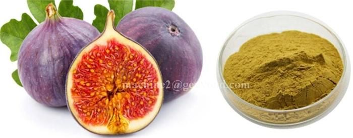 Complete Ficus Carica Powder Production Line