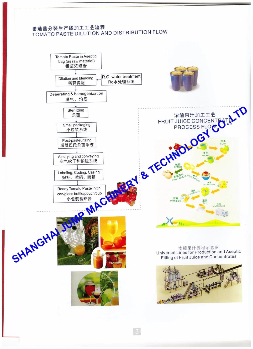 Fruit & Vegetable Processing Machine