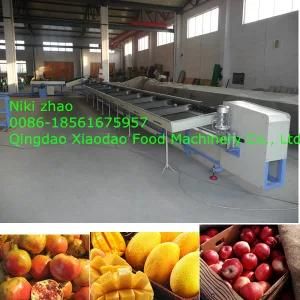 Apple, Mango, Orange, Sorting Machine/Grading Machine