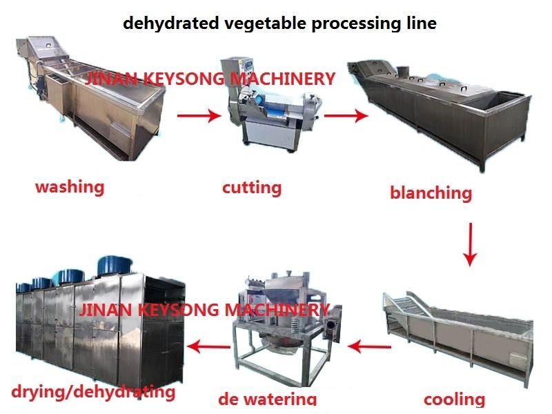 Automatic Customized Fruit Vegetable Ginger Garlic Onion Slice Drying Line