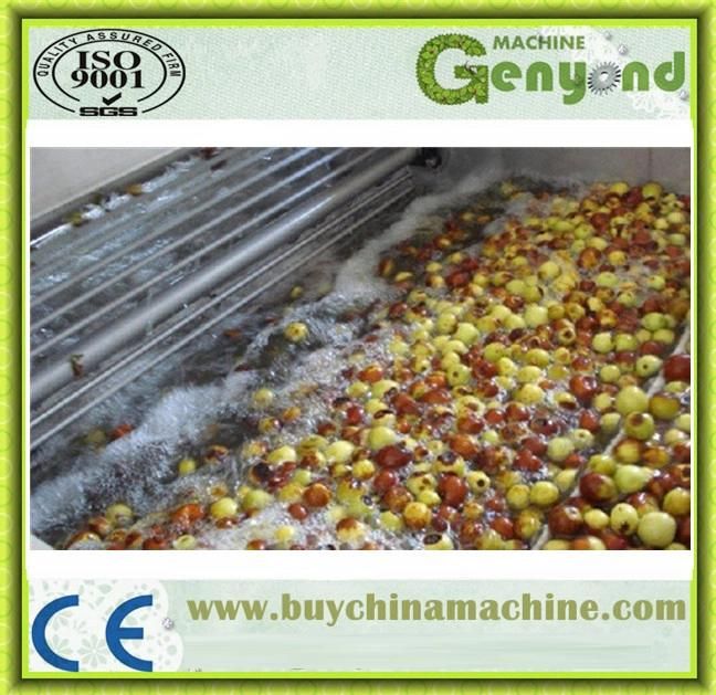 Bubble Cleaning Type Guava Washing Machines
