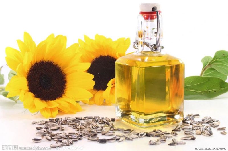 Crude Oil Refinery Edible Oil Manufacturers Oil Pressing Machine