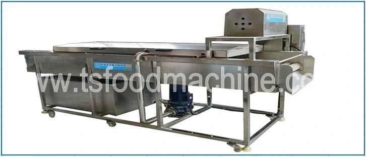 Brush Type Continuous Cucumber Washer and Washing Machine for Sale