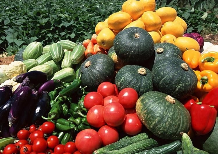 Industrial Ozone Vegetable and Fruit Washing Machine