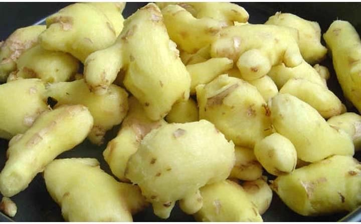 Automatic Potato Washing Peeler Drum Ginger Washing Peeling Machine