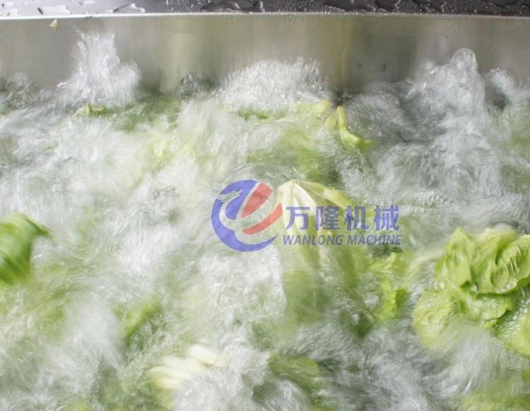 Leaf Vegetable Salad Lettuce Cabbage Spinach Washing Cutting Dewatering Drying Processing Production Line