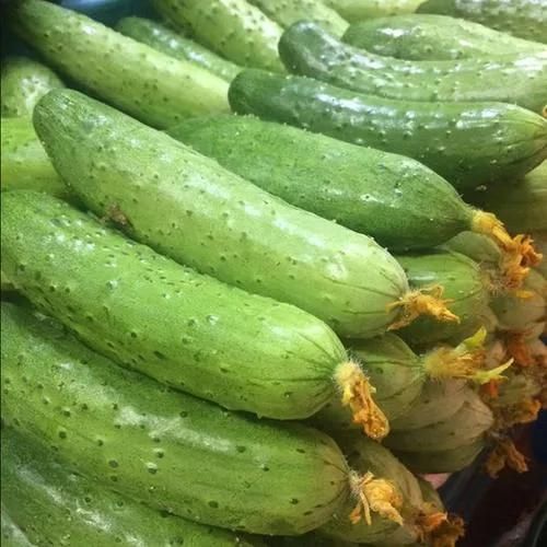 Fruit and Vegetable Washing Cleaning Machine Cucumber Washer