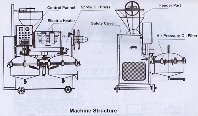 Sunflower Oil Press Machine with Oil Filter From Guangxin Brand