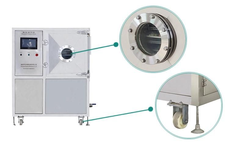 Vacuum Freeze Dryer Lyophilizer Machine Dried Broccoli Freeze Dehydrator