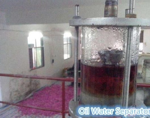 Batch Extraction for Plant Oil Volatile Oil Aromatic Oil