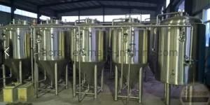 1000L 10hl Unitank CCT Fermentation Tank