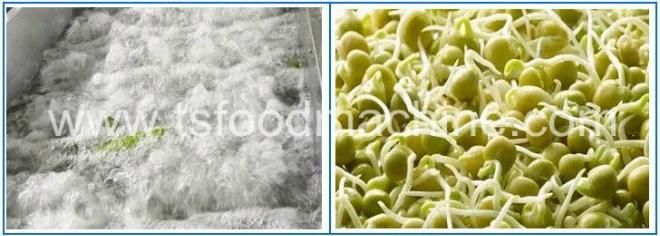 Factory Price Bean Sprout Bubble Washer and Washing Machine