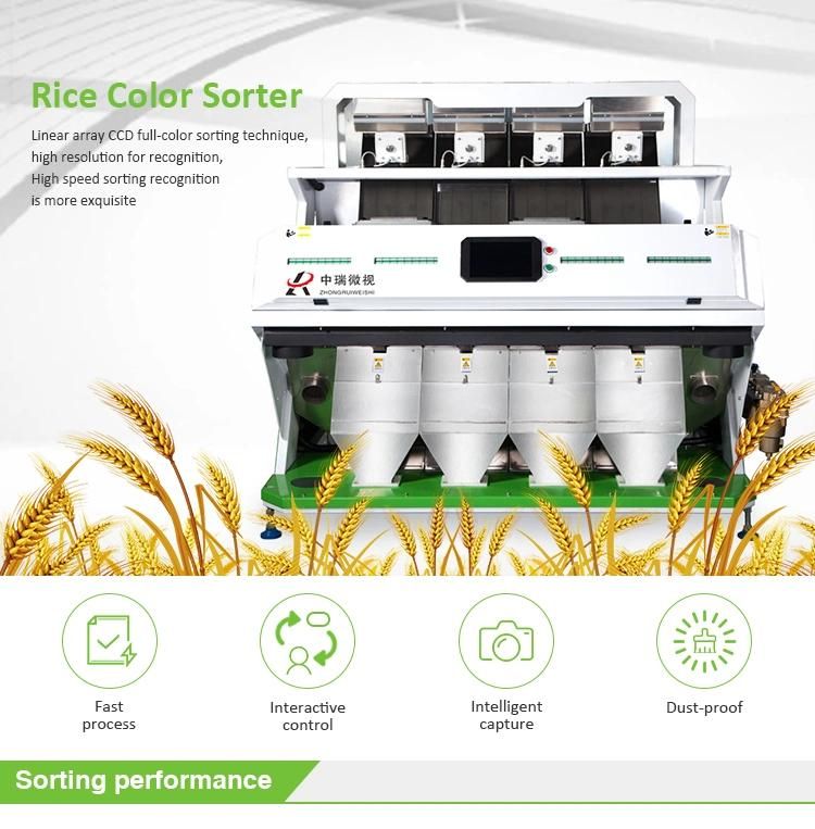 CCD Raisin Grain Color Sorter Machine with Low Price