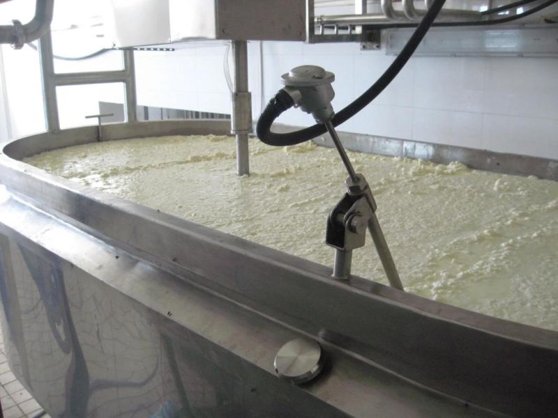 Stainless Steel Mozzarella Cheese Production Machine