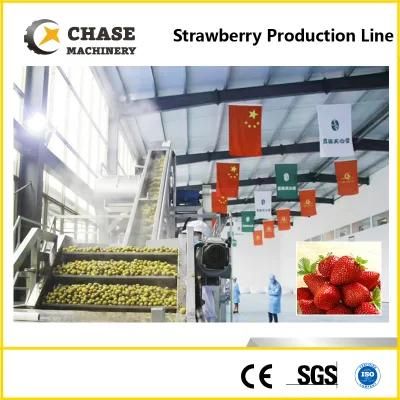 Pineapple/ Mango/ Orange Juice Processing Machines