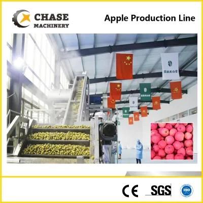 Apple/ Carrot/ Pineapple Juice Production Line