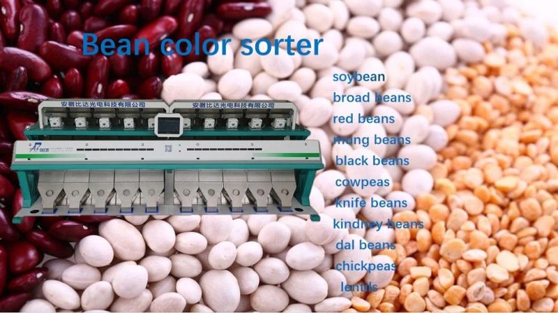 High Capacity Soybean Selector CCD Camera Color Sorter