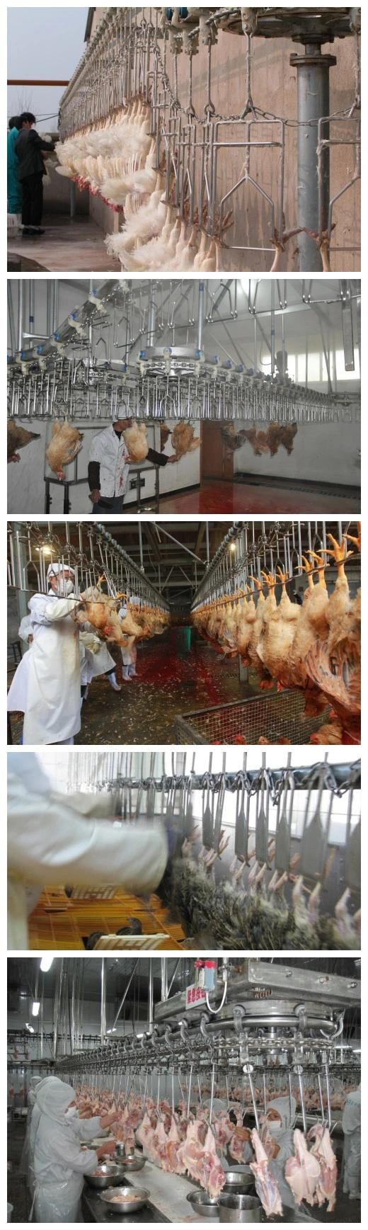 China Chicken Slaughter Production Line / Chicken Slaughter House for Sale
