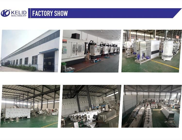 New Technical High Quality Flake Fish Feed Line