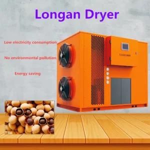 Industrial Dryer Machine Intelligent Fruit Drying Machine Longan Dryer