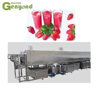 Strawberry Juice Making Machine