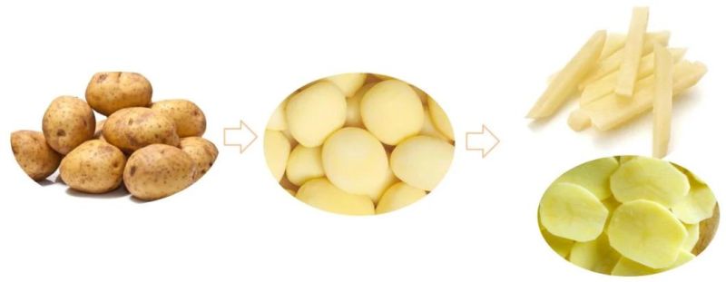 Potato Peeler Cutting Slice French Fries Washing and Peeling Machine