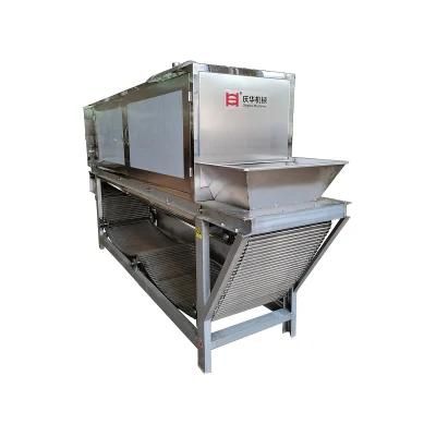 Industrial Continuous Garlic Peeling Machine