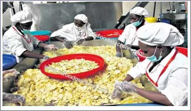 Banana Chips Processing Machine, Commercial Used Plantain Chips Making Machine, Banana Chips Machine
