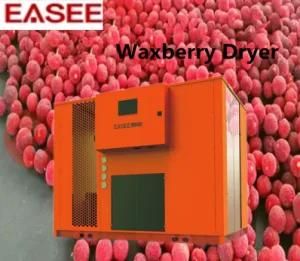 Large Batch Capacity Waxberry Dryer Fruit Drying Machine No-Pollution