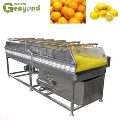 Berry Fruit Cleaning Machine Equipment Newly Created for Apple Grading Mango