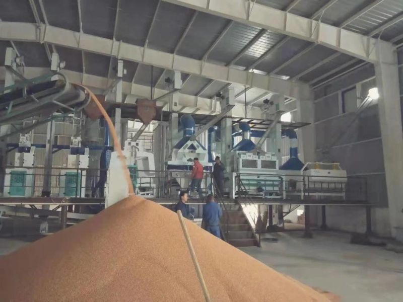 Clj Brand Sorghum Rice Process Professional Auto Rice Mill Machine