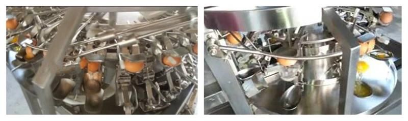 Top Quality Fresh Egg Liquid Separator