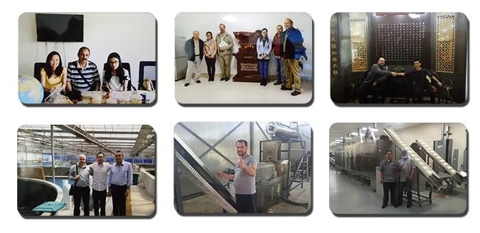 Extruded Corn Rice Snack Food Machine Cereal Puffs Rings Balls Extruder Processing Line
