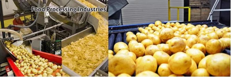 Continuous Carborundum Roller Washing Peeling Machine Automatic Potato Peeler Machine